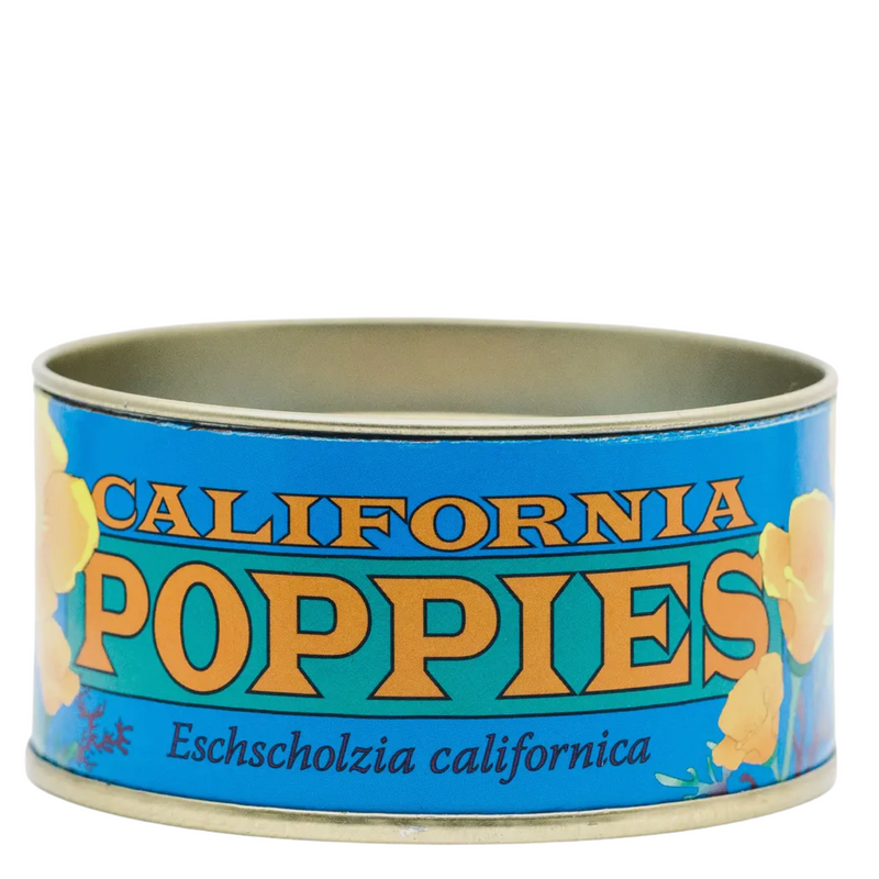 California poppy - seed grow kit