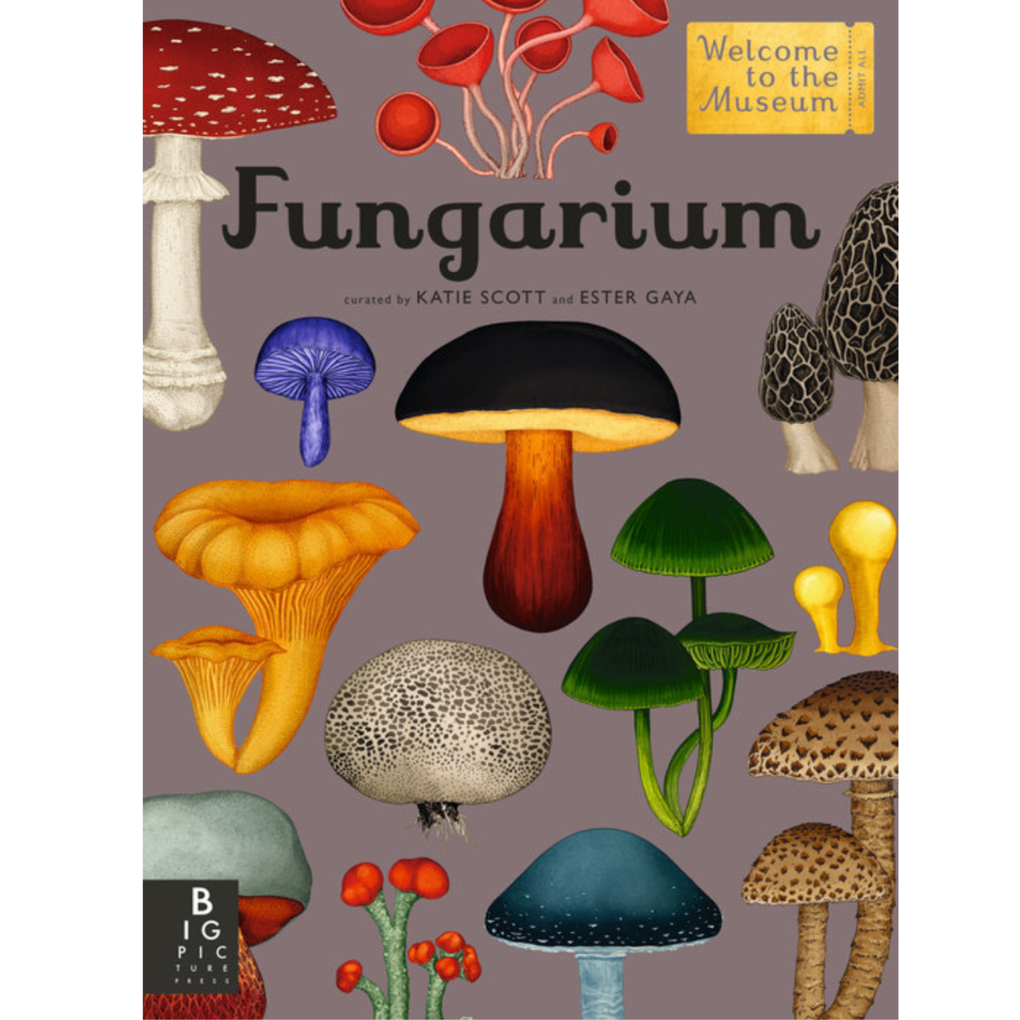 Fungarium. :: welcome to the museum