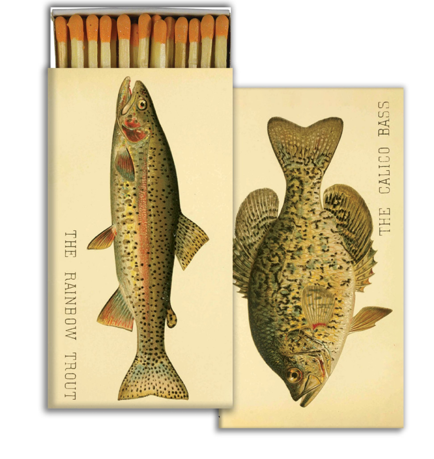 lake fish : match box