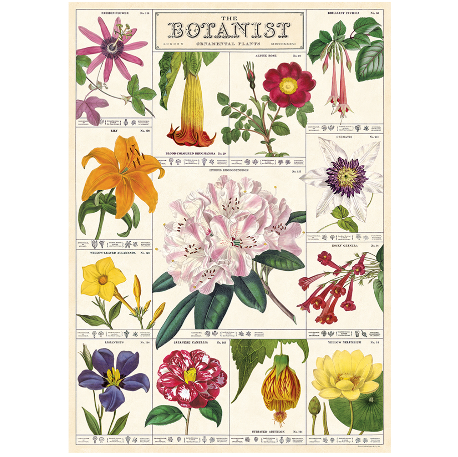 The Botanist Poster