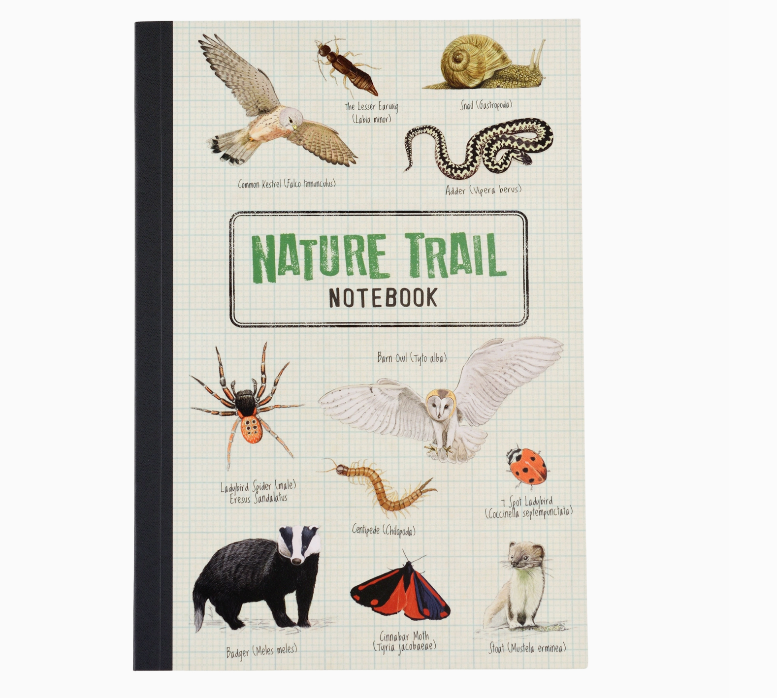 A5 Notebook - Nature Trail