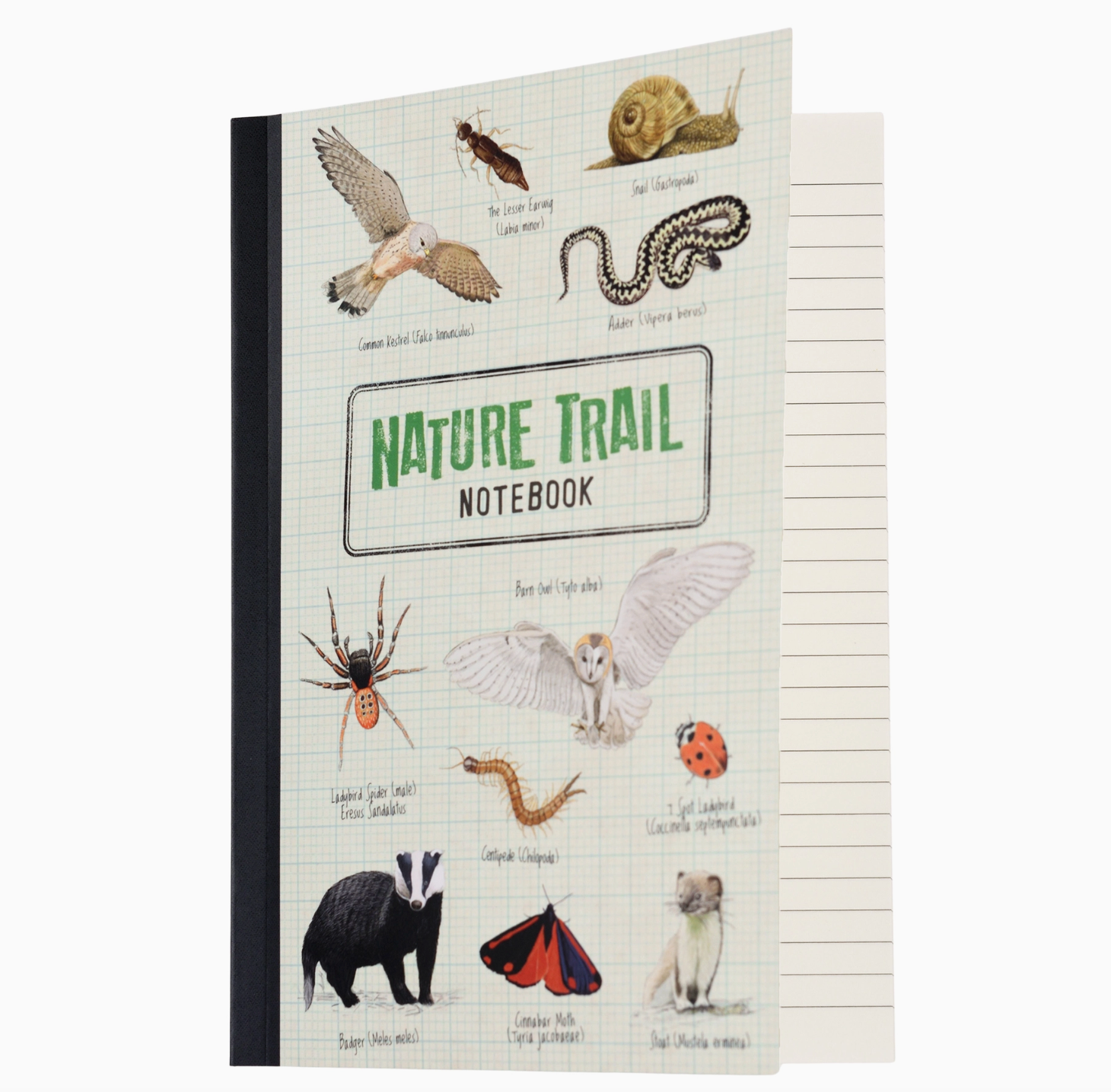 A5 Notebook - Nature Trail
