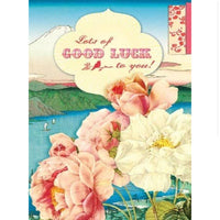 Lots of Luck to You : greeting card