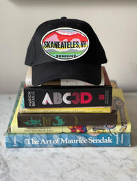 youth/kid hat:SKAN (4colors)