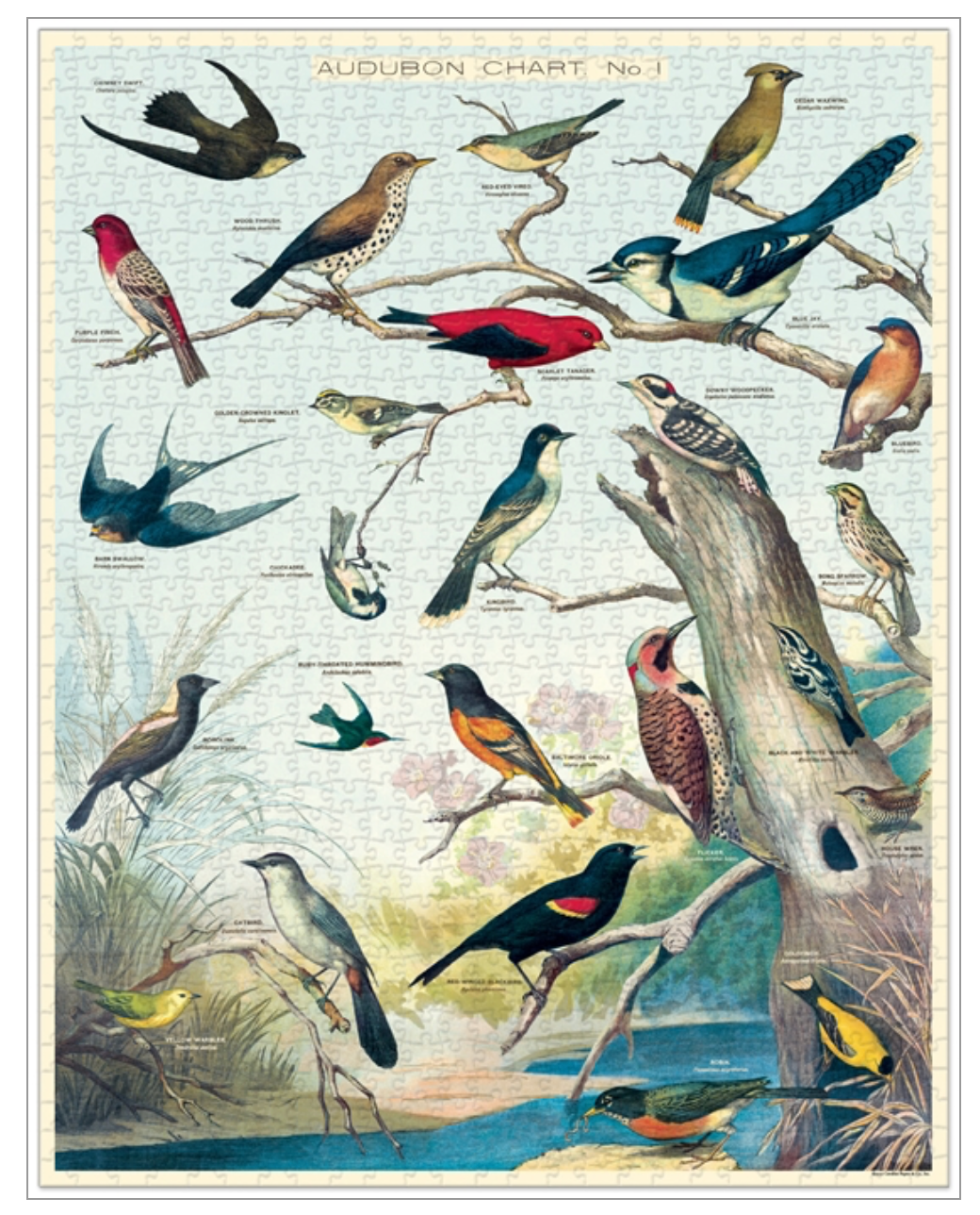Audubon Birds 1,000 Piece Puzzle