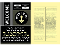 Merry Jane’s The CBD Solution: Living: CBD and Cannabis for Sleep, Skin, Sex, and Other Daily Rituals