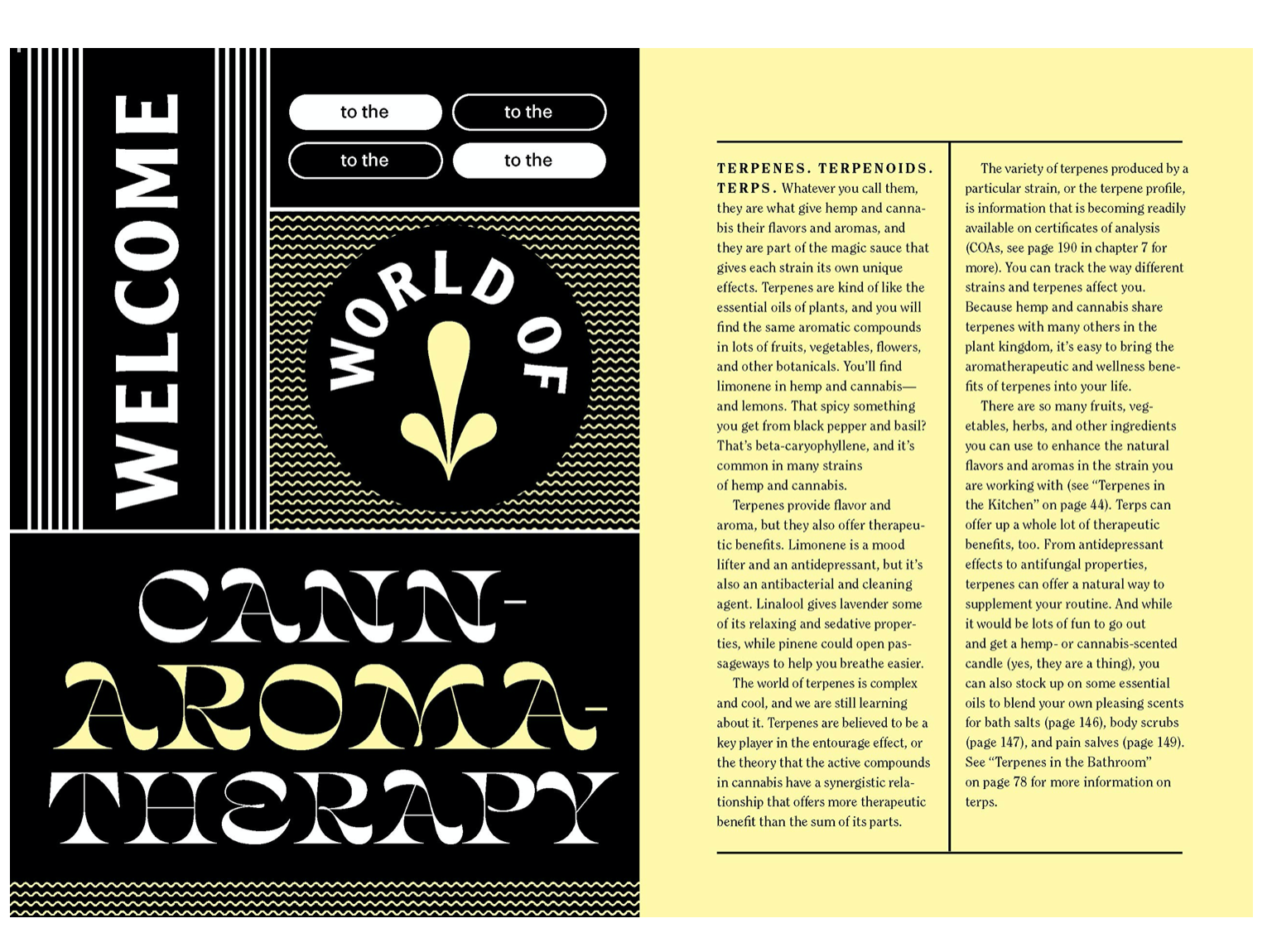 Merry Jane’s The CBD Solution: Living: CBD and Cannabis for Sleep, Skin, Sex, and Other Daily Rituals