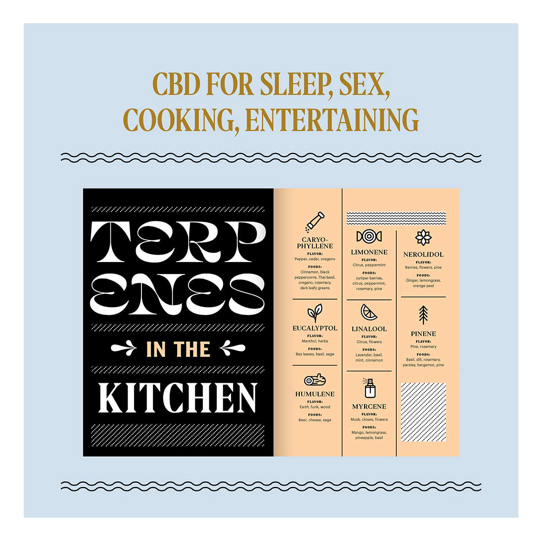 Merry Jane’s The CBD Solution: Living: CBD and Cannabis for Sleep, Skin, Sex, and Other Daily Rituals