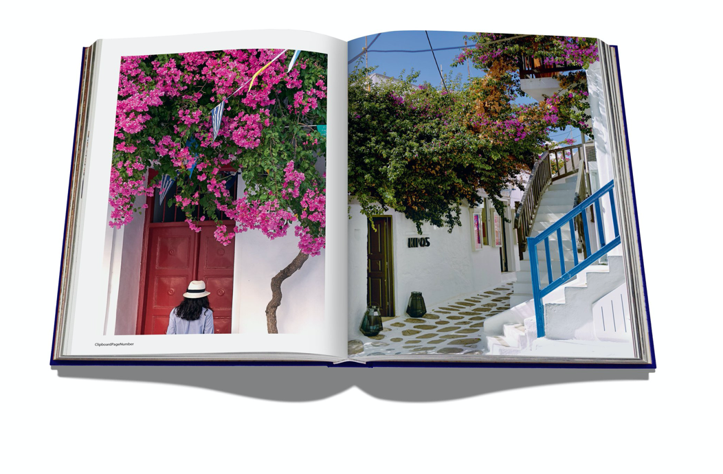 Mykonos Muse