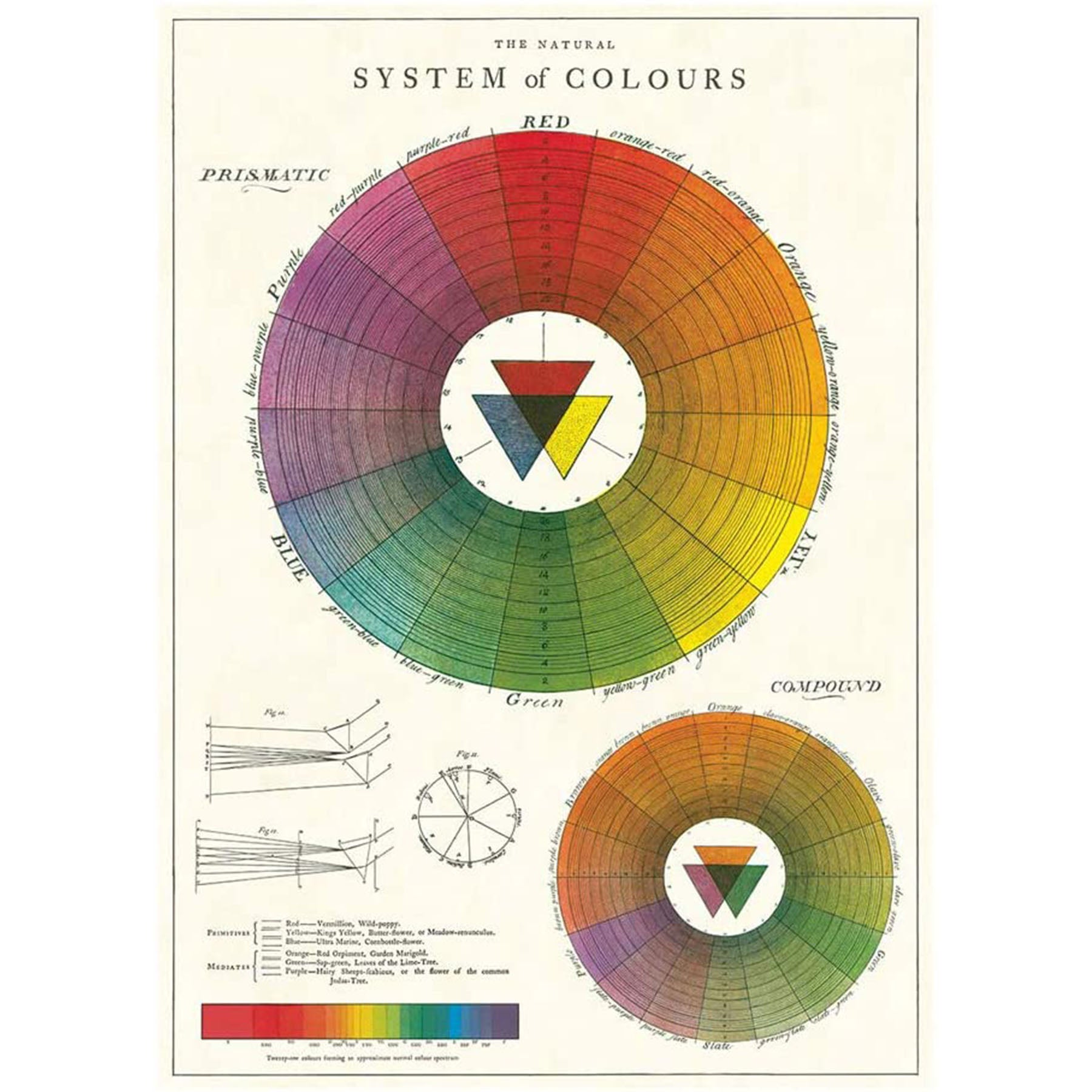 Color Wheel Poster