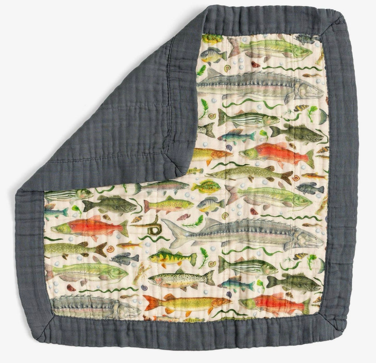 Lovey Fish