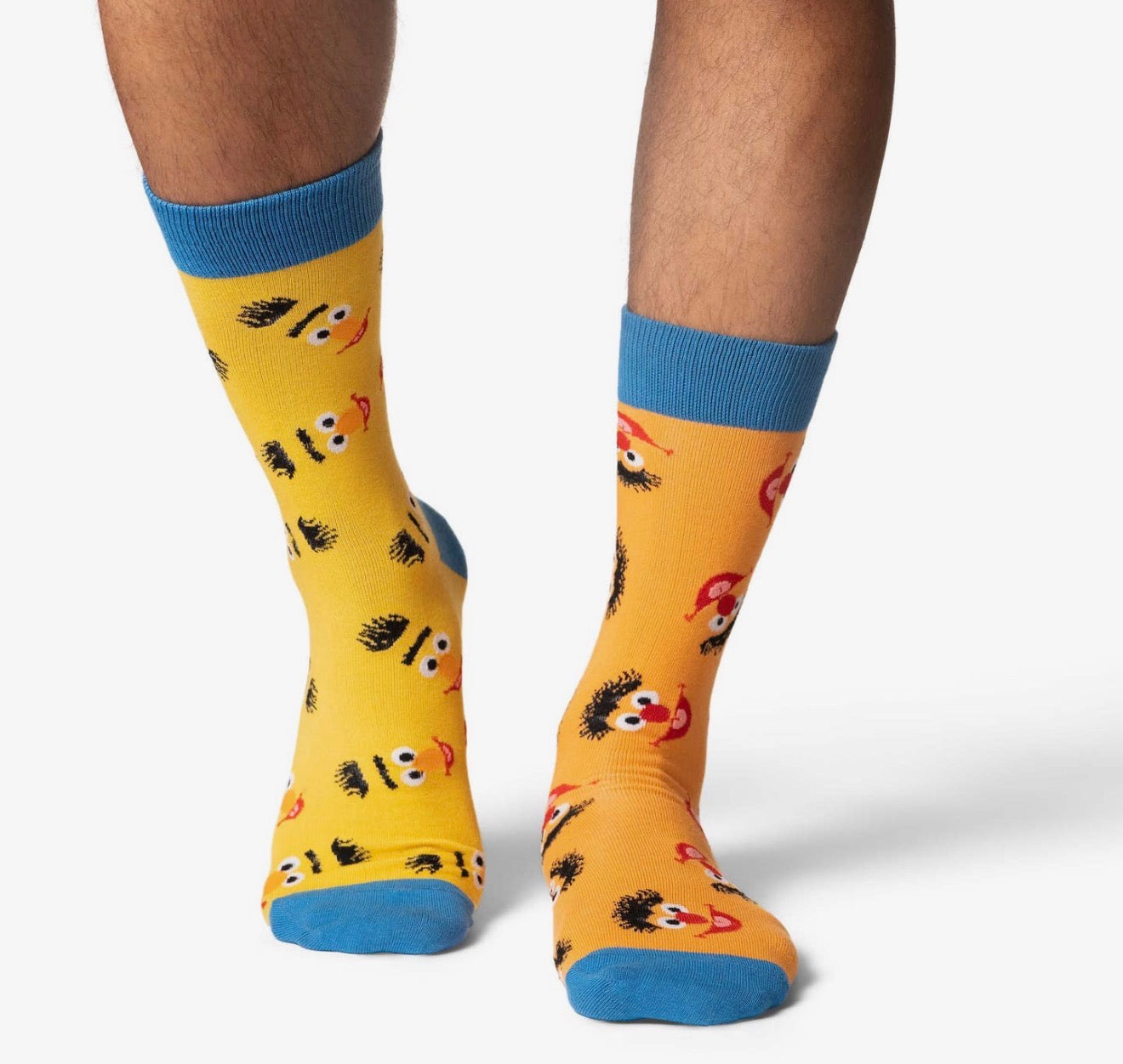 Bert and Ernie Men's Socks