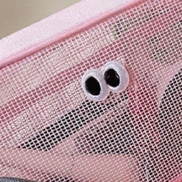 rectangle: mesh face bag (+colors)