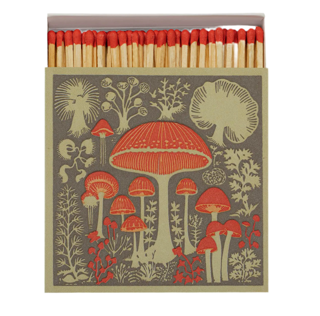 Mushrooms matches