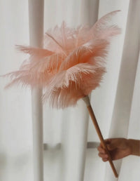 Pink Ostrich Feather Duster