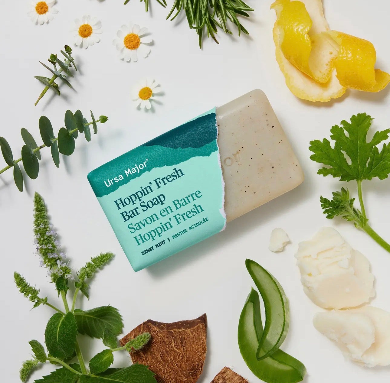 Hoppin’ fresh bar soap