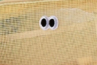 rectangle: mesh face bag (+colors)