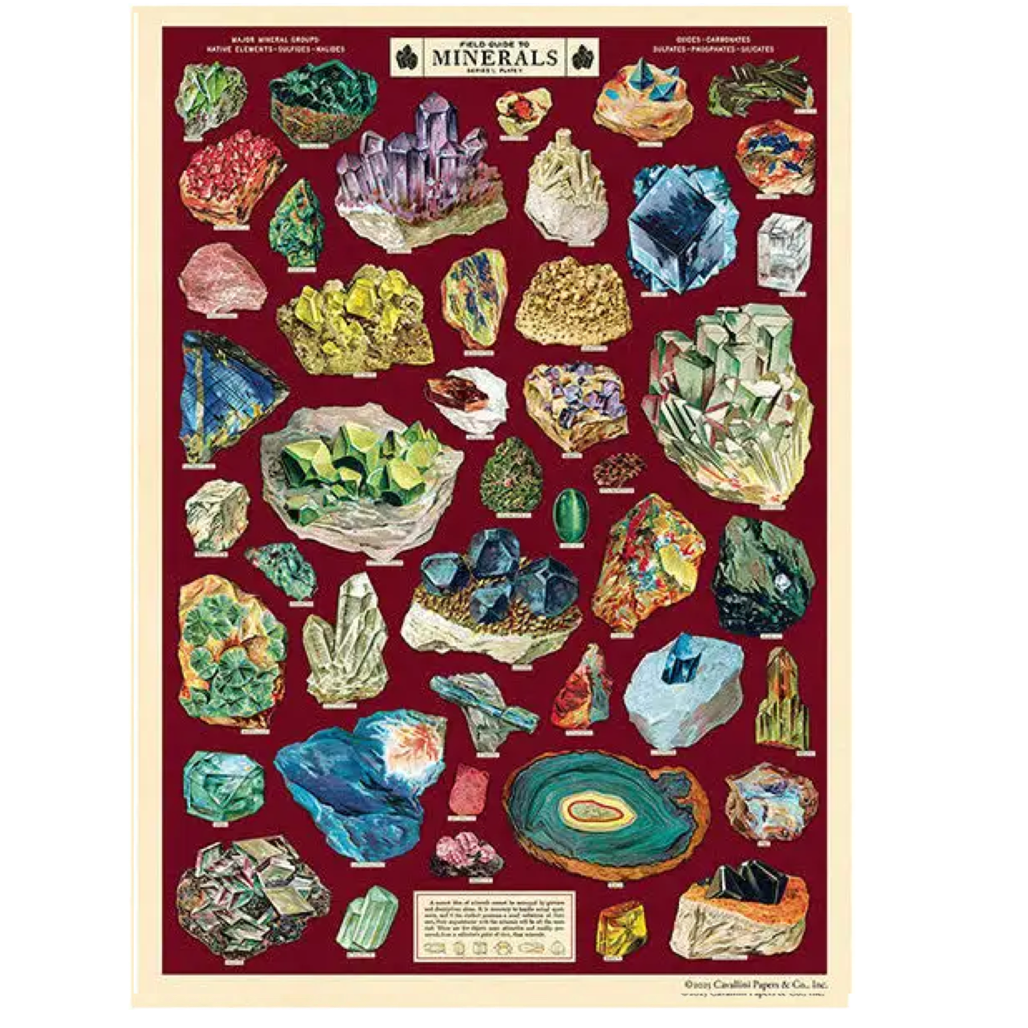 Minerals field guide Poster