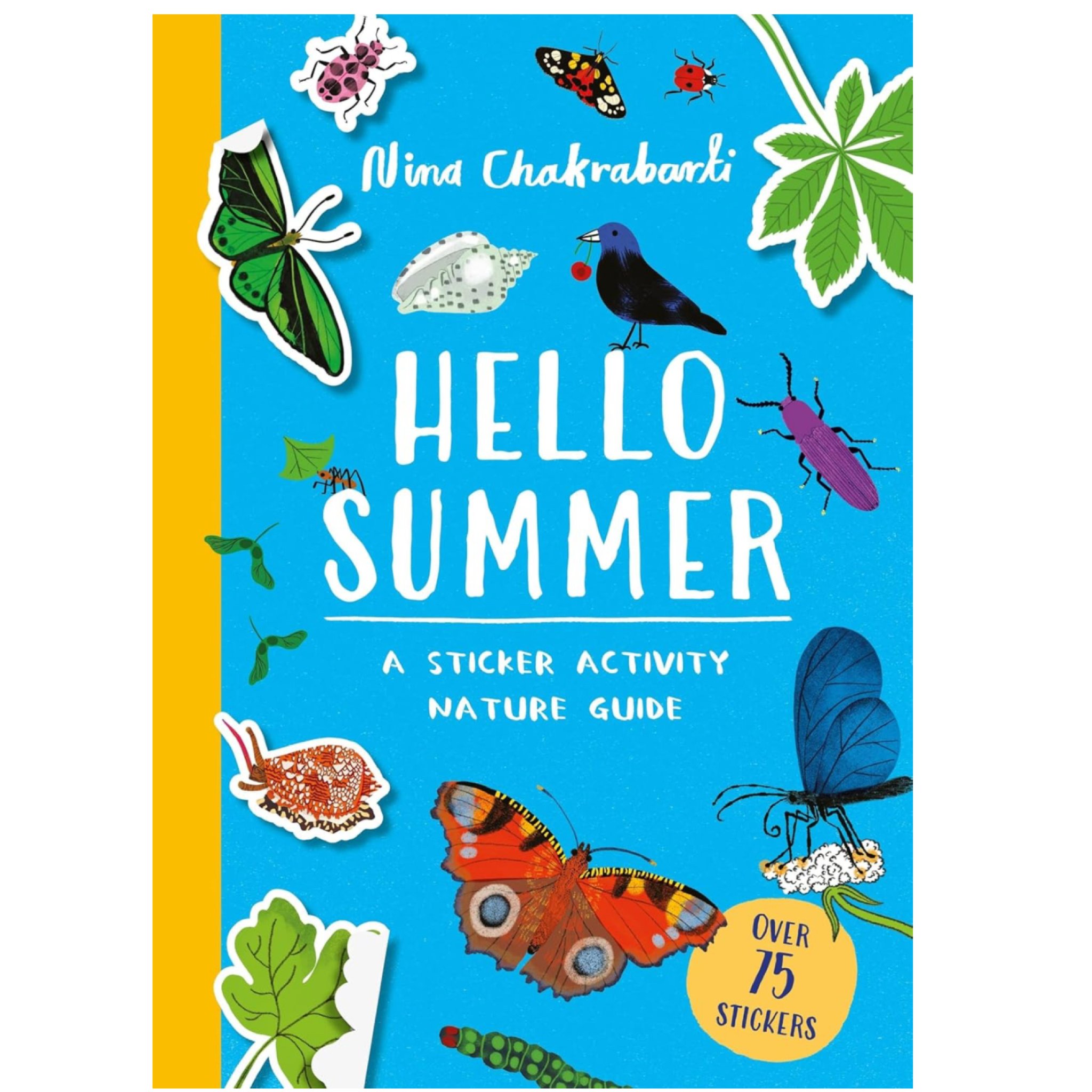 Hello Summer Activity book