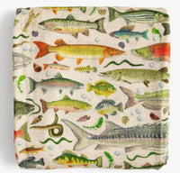 Fish Swaddle