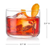 Raye Crystal Lowball Negroni Glasses - Set of 2 By Viski