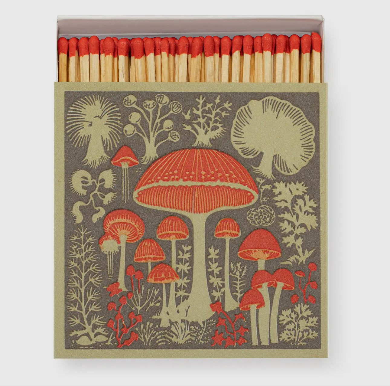 Mushrooms matches