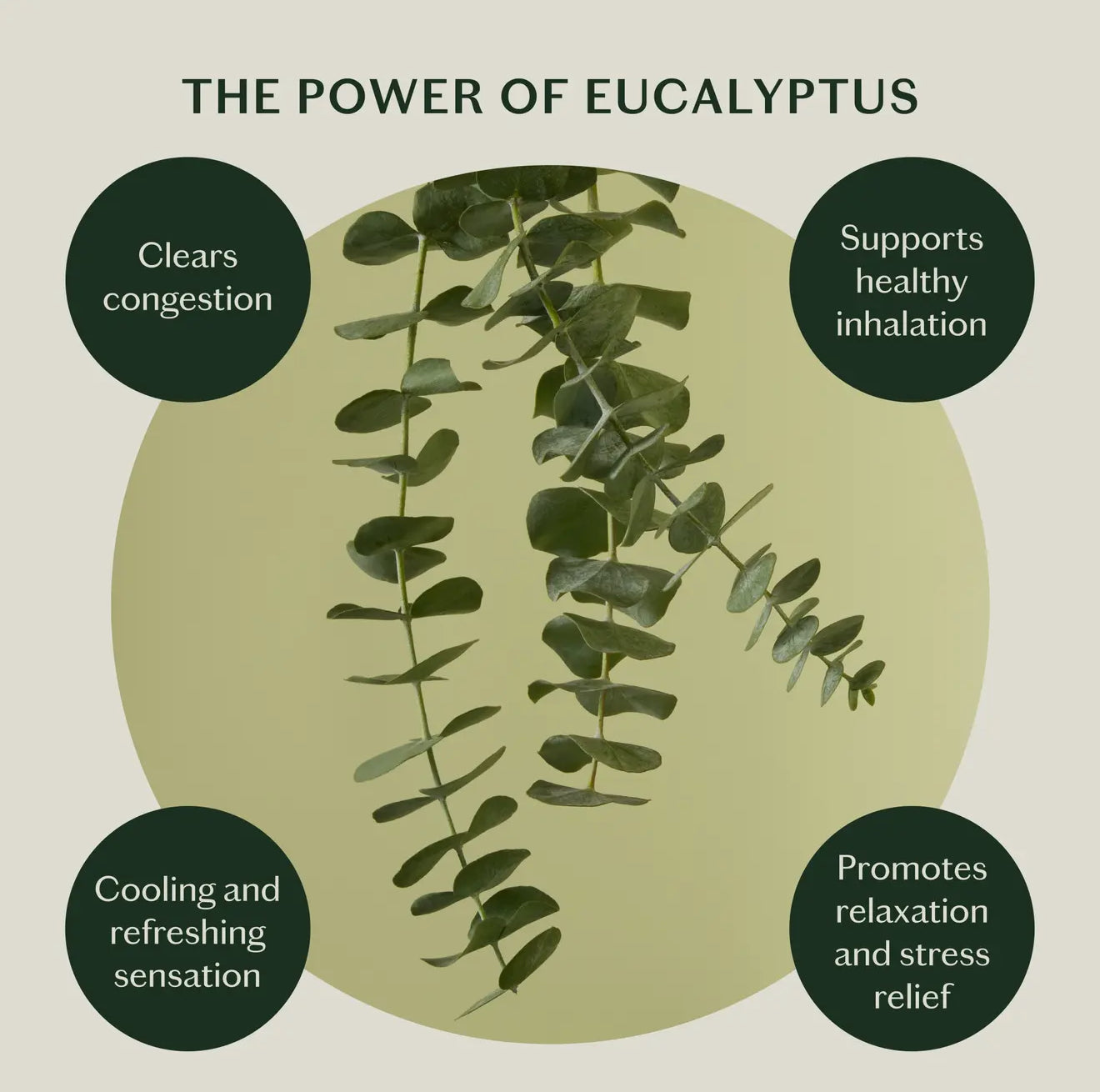 Breathe Stone | Soothing Chest Rub