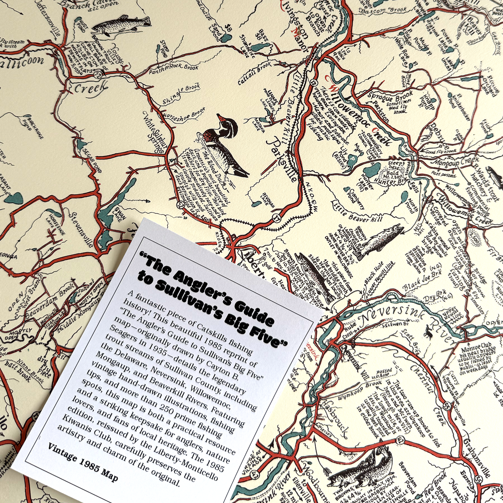 Catskill Anglers Guide poster