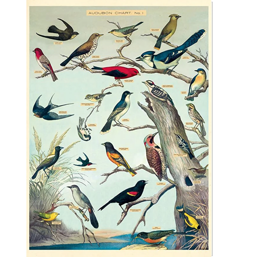 Audubon Birds 1 Poster