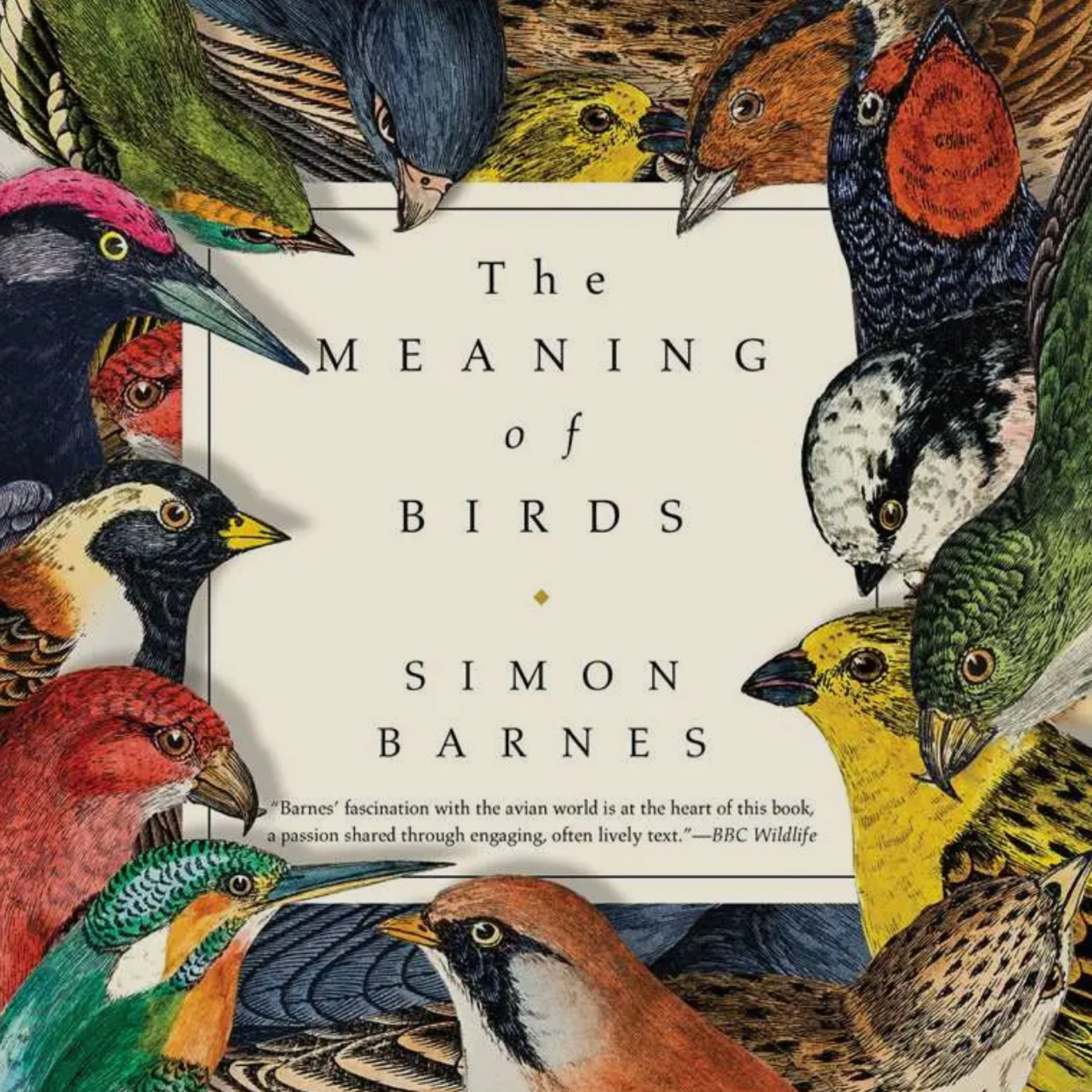 The Meaning of Birds
