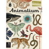 Animalium: welcome to the museum