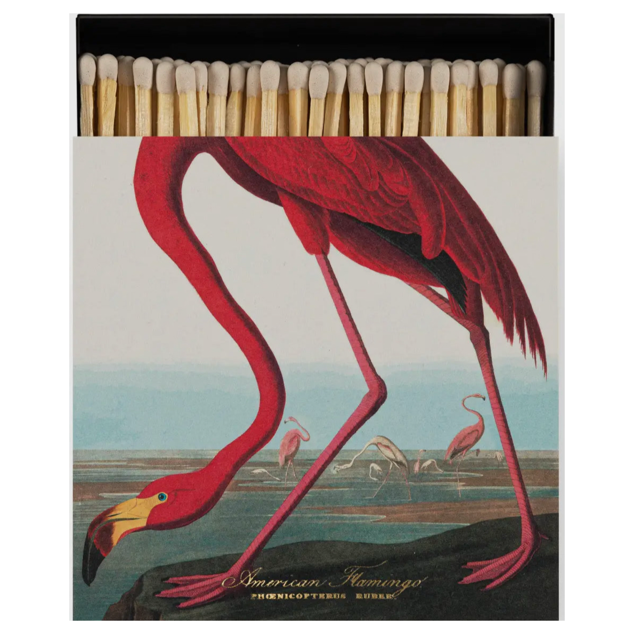 Flamingo:  big box matches