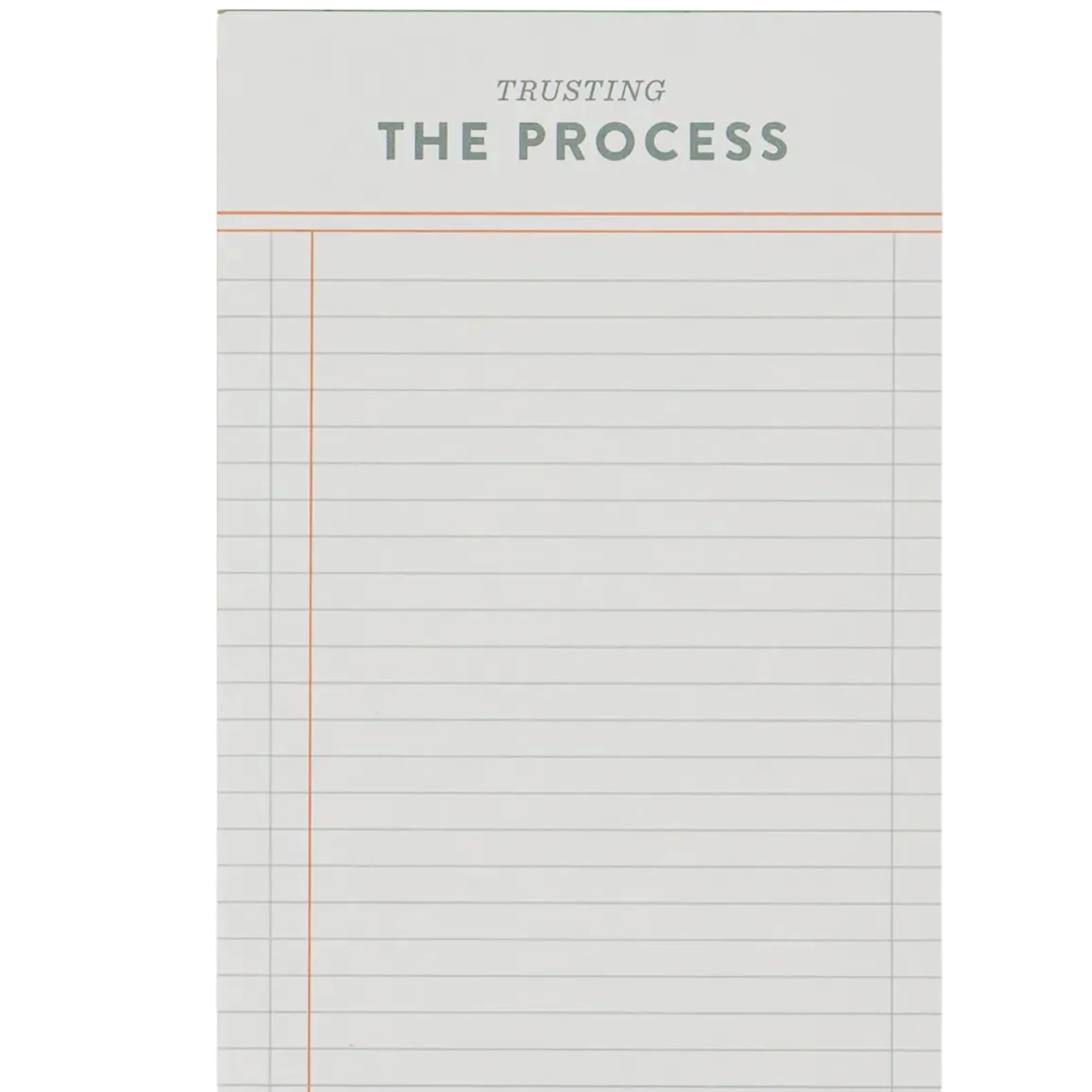 Trusting the Process 4x6 Notepad