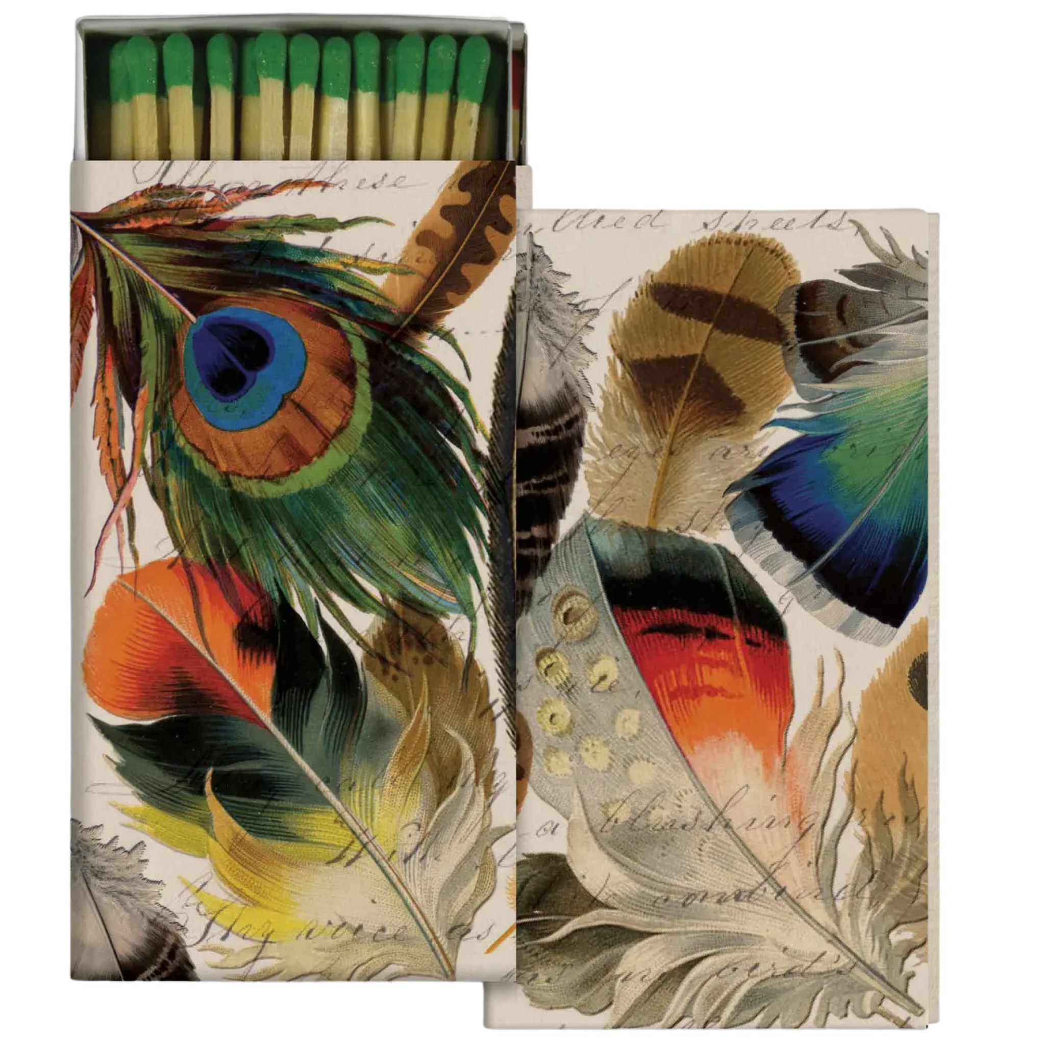 feathers : match box