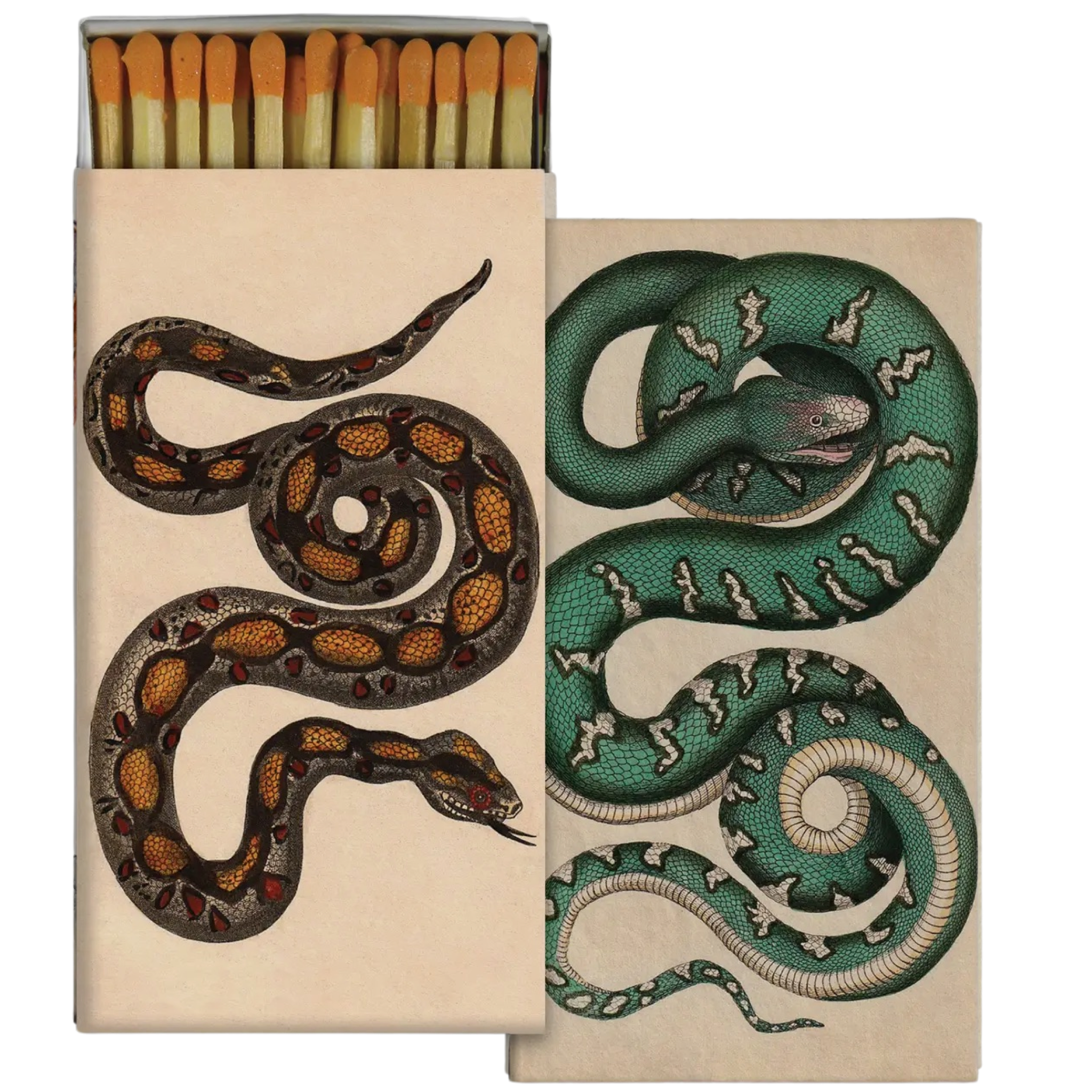 snakes: match box