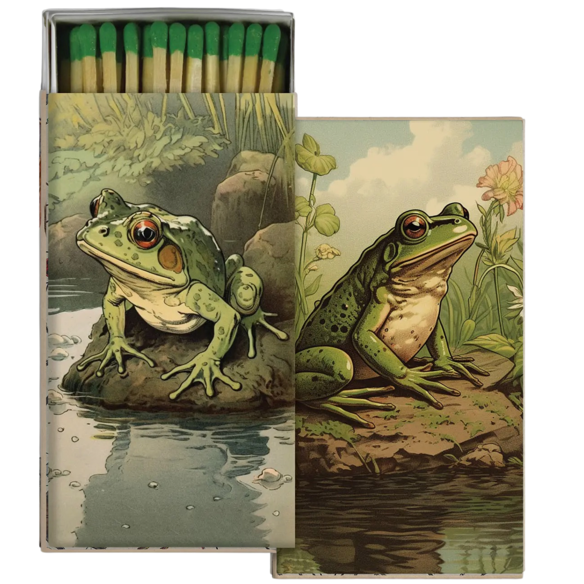 frogs: match box