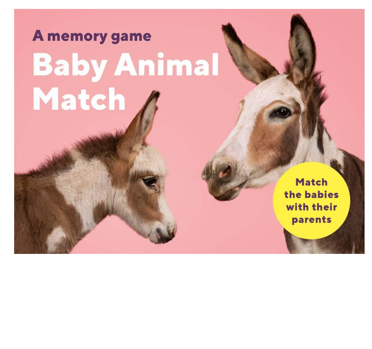 Baby Animal Match A Memory Game