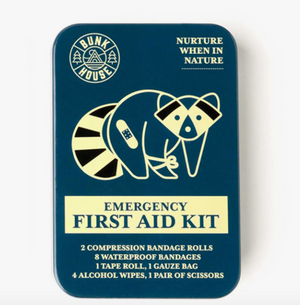 mini First Aid Kit