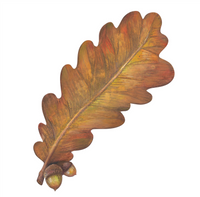 autumn leaf : accent card