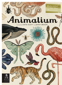 Animalium: welcome to the museum