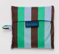 mint stripe: BAGGU bag
