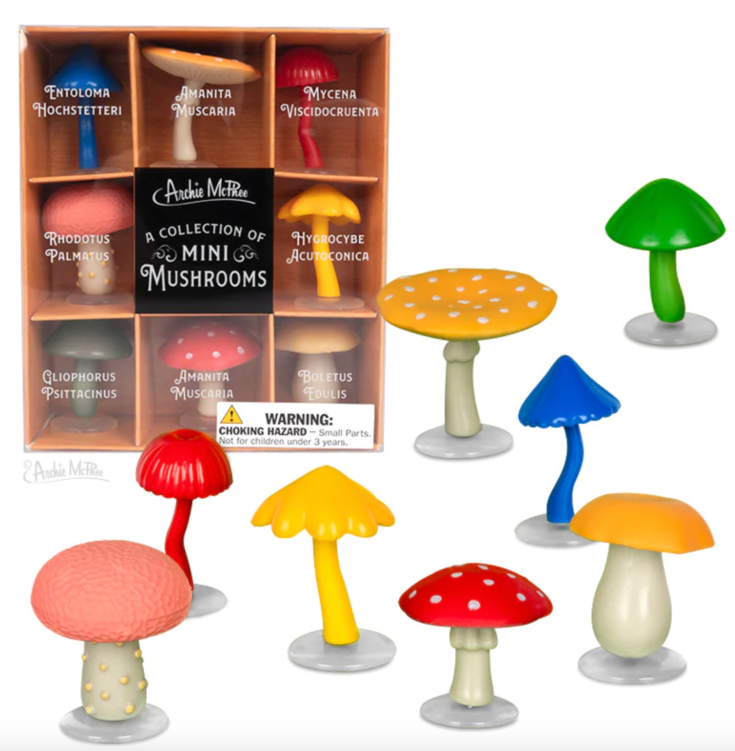 mini mushroom collection