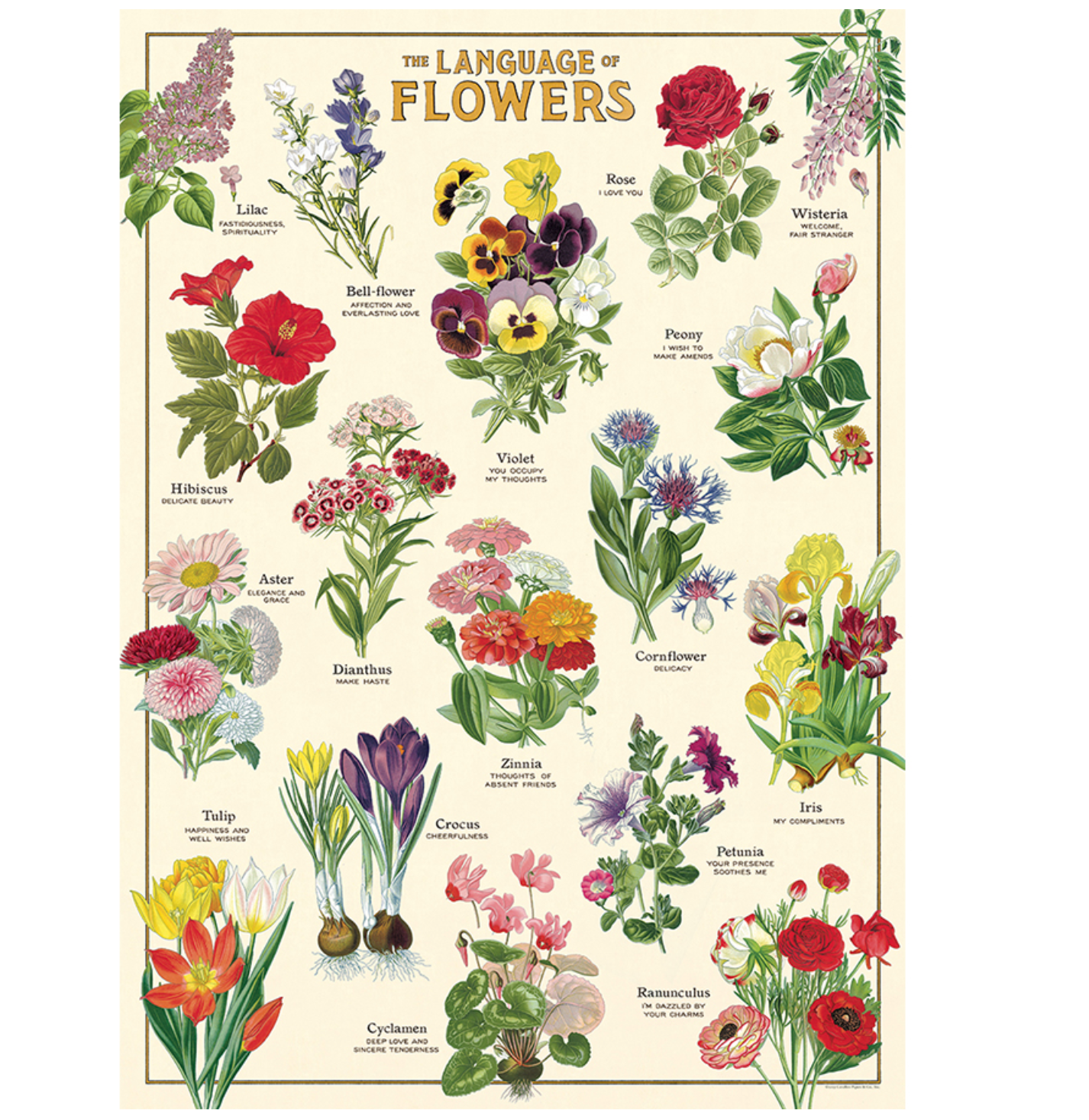 Language of Flowers  Poster