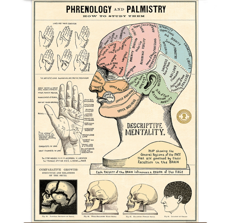 Phrenology + Palmistry Poster