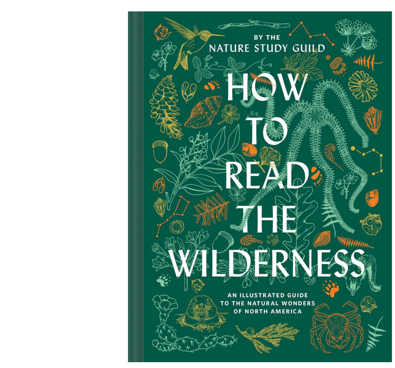 How to Read the Wilderness An Illustrated Guide to the Natural Wonders of North America