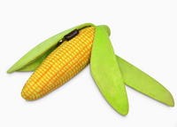 corn: garden fresh DOG toy