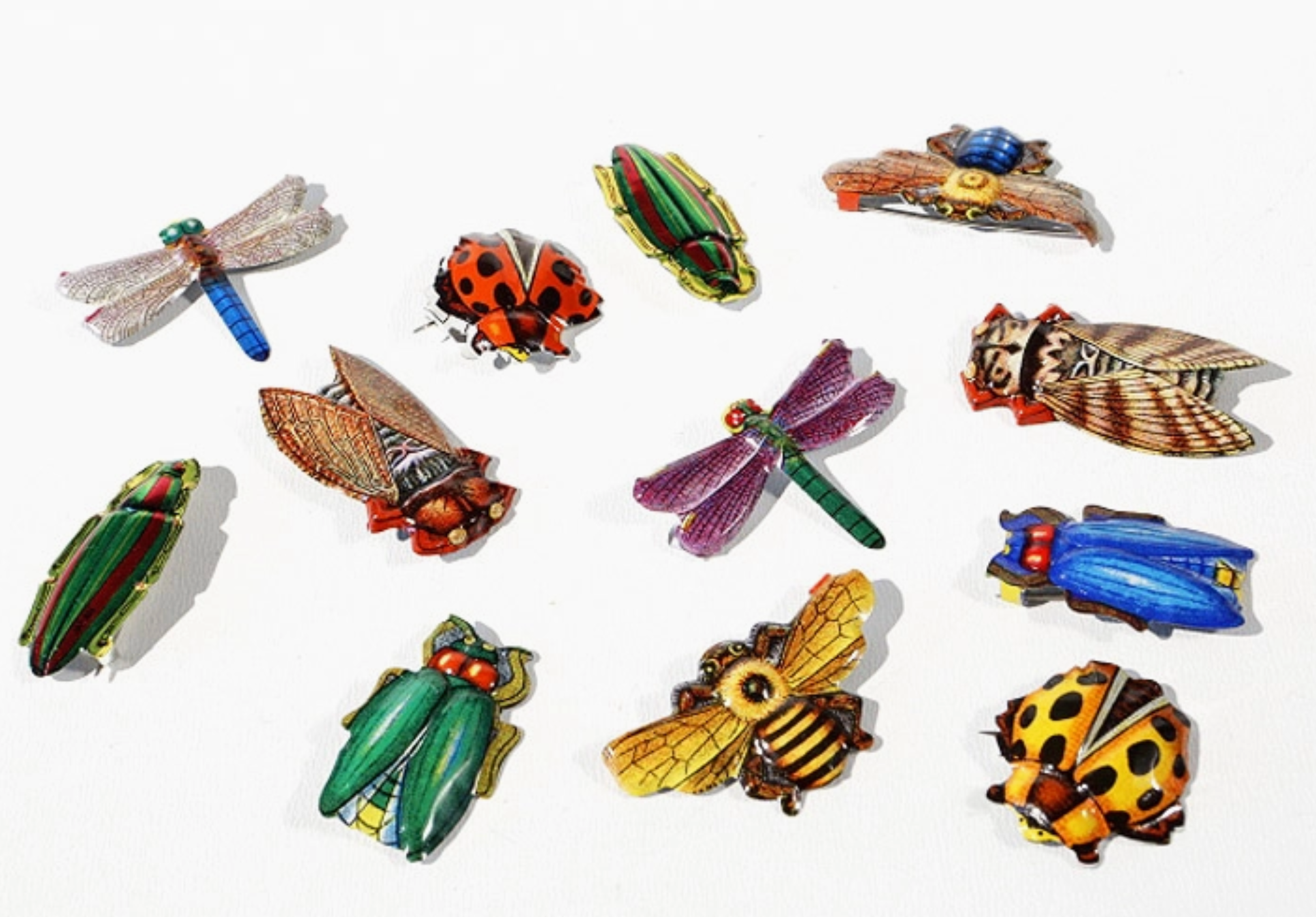 insect badges: Japan