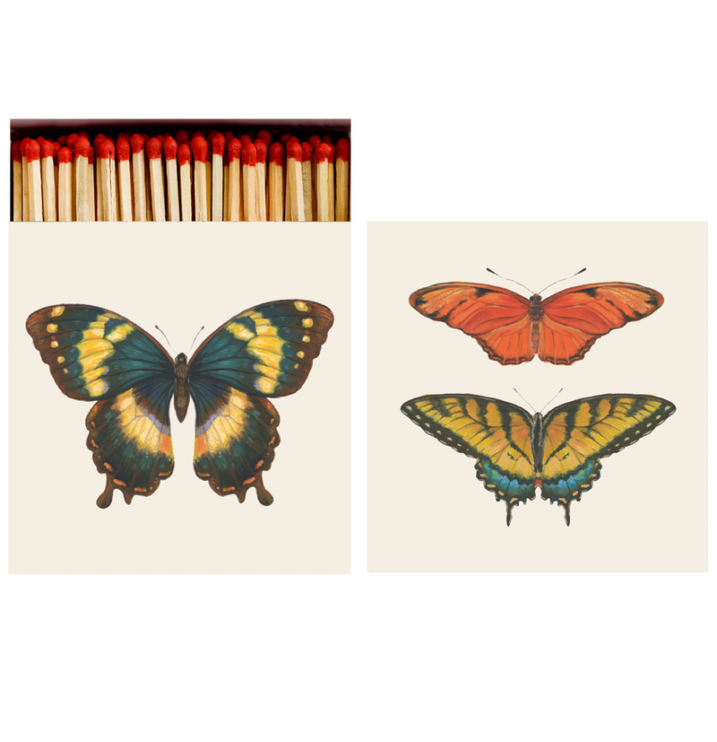 matchbox: butterfly