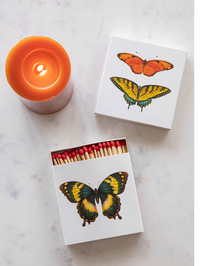 matchbox: butterfly