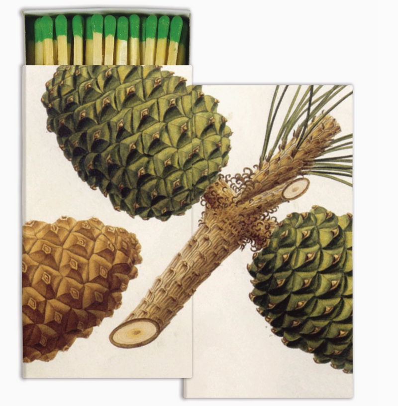 pinecone: match box